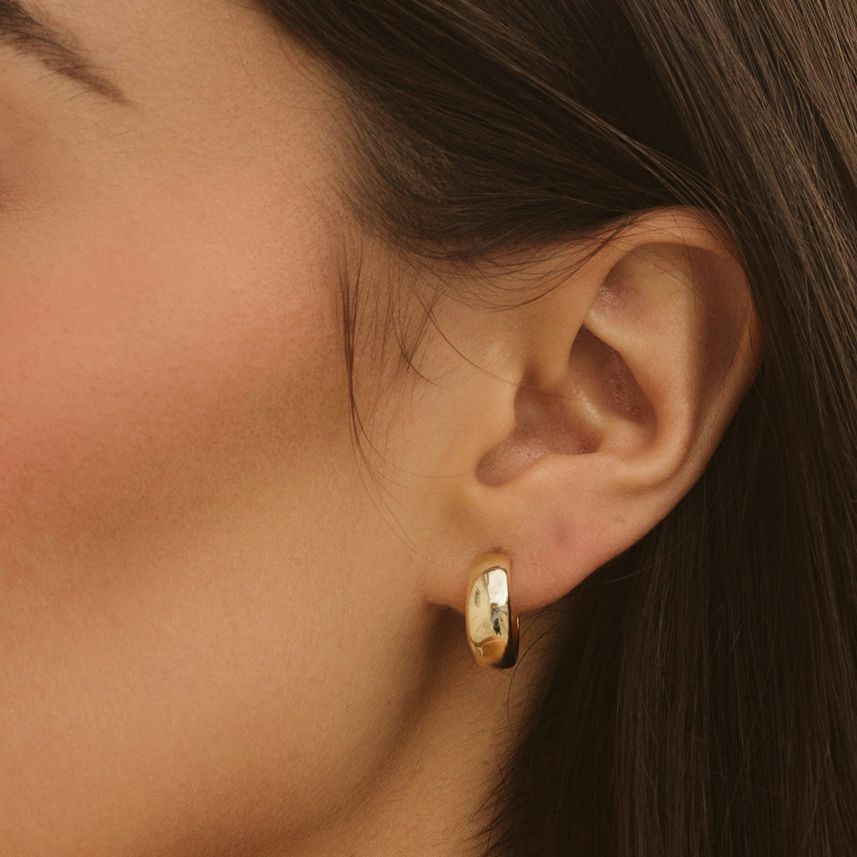 Dome Hoop Earrings